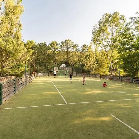 *les Restanques Maison Des Chenes 3 Chambres* Grimaud